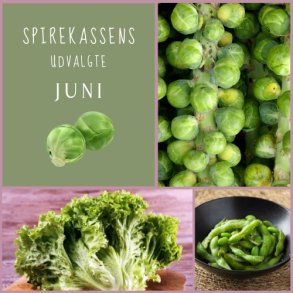 Spirekassens Udvalgte - JUNI