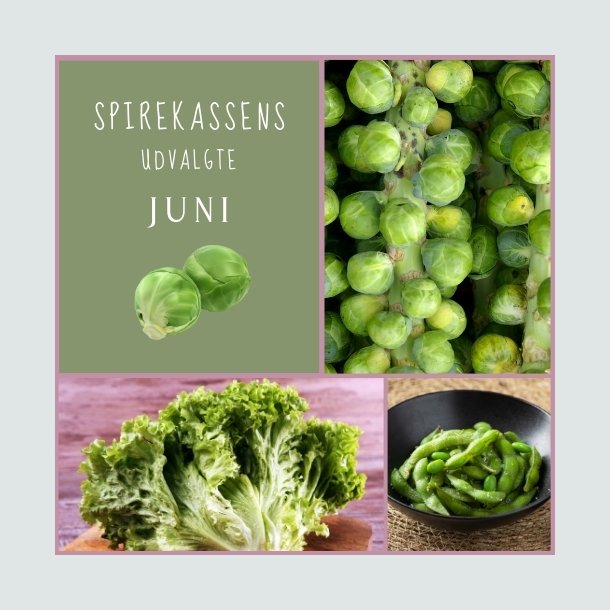 Spirekassens Udvalgte - JUNI