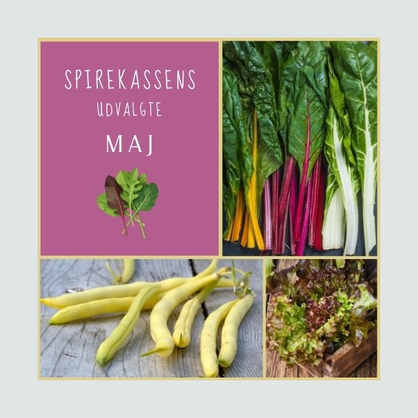 Spirekassens Udvalgte - MAJ