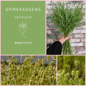 Spirekassens Udvalgte Buketfyld