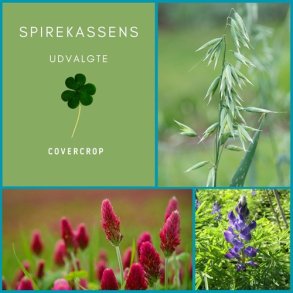 Spirekassens Udvalgte Covercrops 