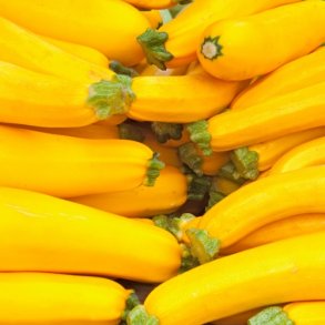 Squash 'Ola Gabriella F1' - kologisk