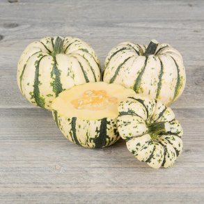 Grskar 'Sweet Dumpling' - kologisk