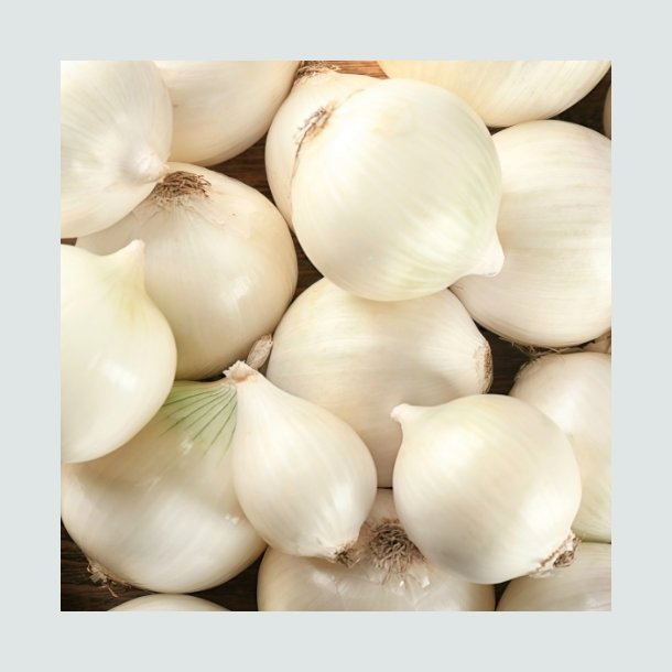 Stikl�g 'Snowball'