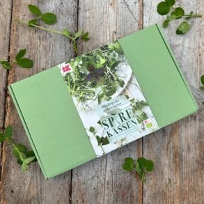 Frkasse ko Mikrospirer