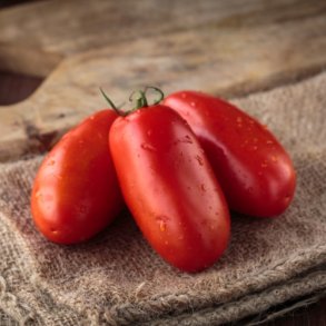 Tomat 'San Marzano 2' - kologisk