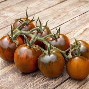 Tomat 'Bellarubin' - kologisk