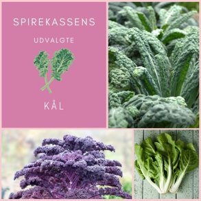 Spirekassens Udvalgte Kl