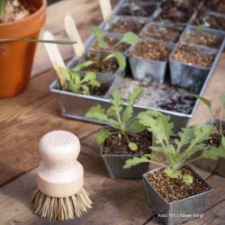 Vandingsbakke med "seed pots" - 30 stk