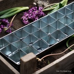 Vandingsbakke med "seed pots" - 30 stk