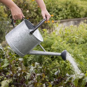 Vandkande m/spreder - 9 liter
