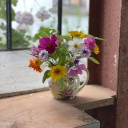 Fr�kasse Vilde Havedr�mme - �kologisk