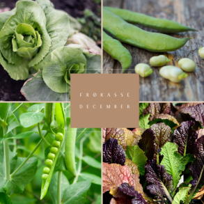 Frkasse Vinterdyrkning December
