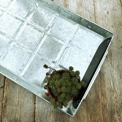 Watering Trays 30x54x5 cm