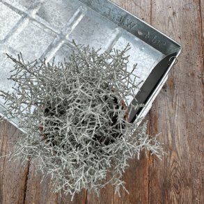 Watering Trays 30x54x5 cm