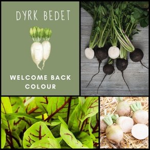 Welcome Back Colour - kologisk