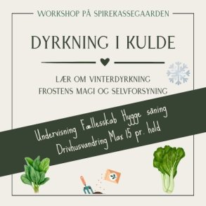 Workshop Vinterdyrkning - den 16. september 2026