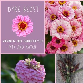Zinnia & Buketfyld - mix and match
