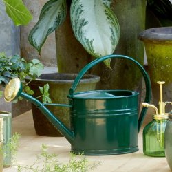  Vandkande  Anika - 1,7 liter - Grn