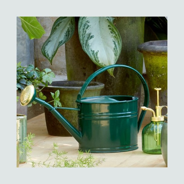  Vandkande  Anika - 1,7 liter - Grn