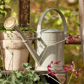 Vandkande  Anika - 4 liter - Grey