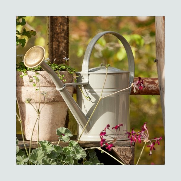 Vandkande  Anika - 4 liter - Grey