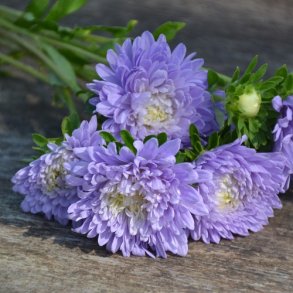 Sommerasters  'King Size Light Blue' - XL