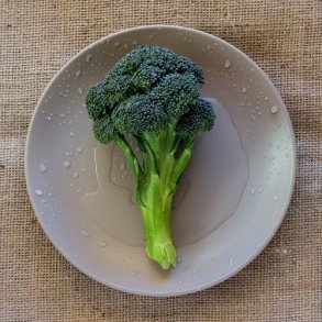 Broccoli 'Groene Calabrese' - kologisk