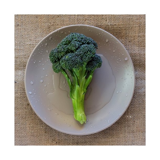 Broccoli 'Groene Calabrese' - kologisk