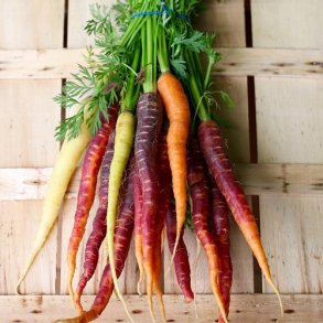 Gulerod Mix - kologisk