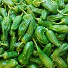 Chili 'Padron' - kologisk