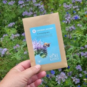 Covercrop ko Mix- Haveselskabet x Spirekassen