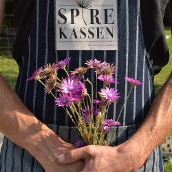 Papirblomst Mix- kologisk