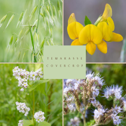 Fr�kasse Covercrop - �kologisk