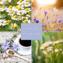 Frkasse Vild med nytteplanter