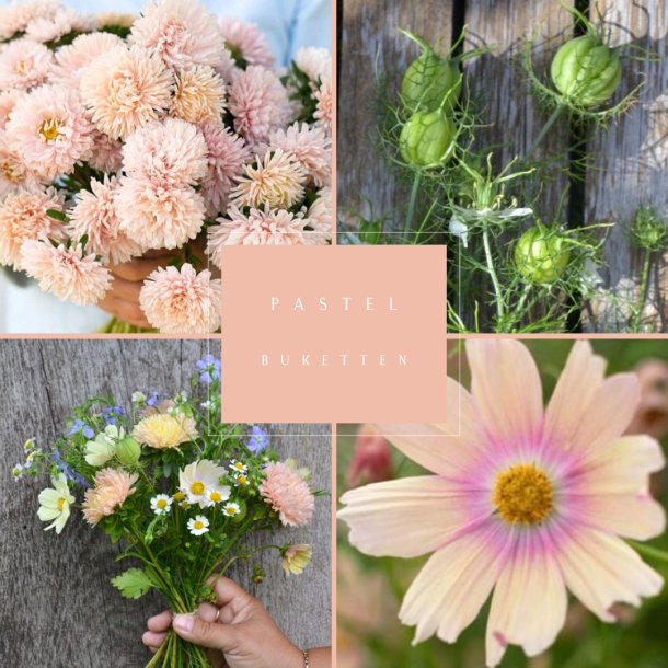 Frkasse Pastelbuket