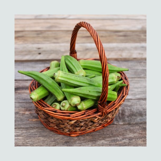 Okra - �kologisk