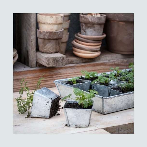 Vandingsbakke med "seed pots" - 30 stk