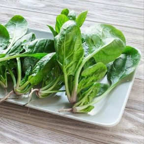 Spinat 'Winter Giant'  - kologisk