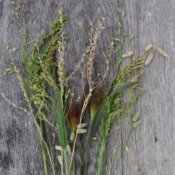 Spirekassens Buketfyld Mix