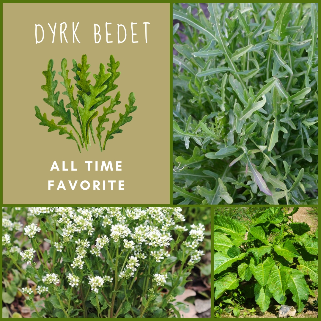 Dyrk Bedet - All Time Favorite - kologisk