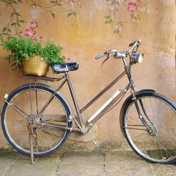 Blomster til Byen