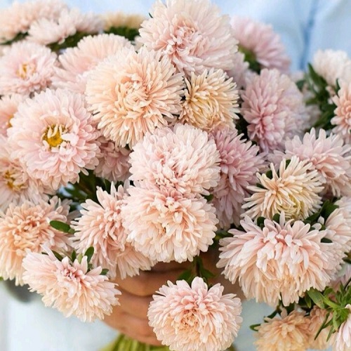 Rosa/Røde Blomster