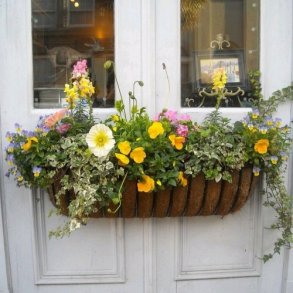 Bestøverblomster til Altan